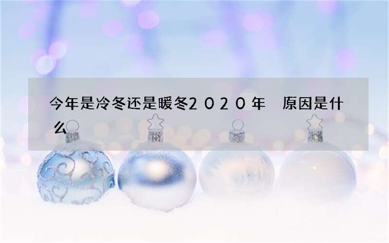 今年是冷冬还是暖冬2020年 原因是什么